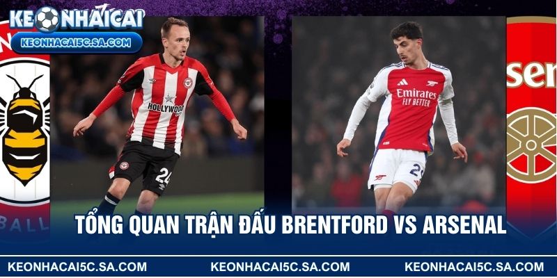 Tổng quan trận đấu Brentford vs Arsenal