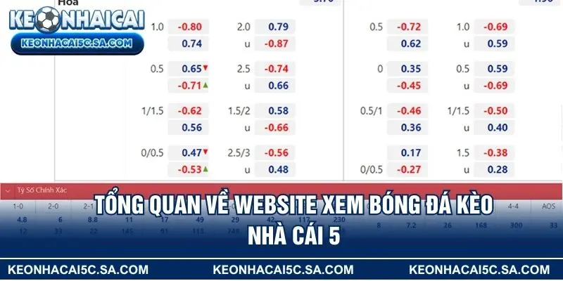 Tổng quan về website xem bóng đá Kèo nhà cái 5